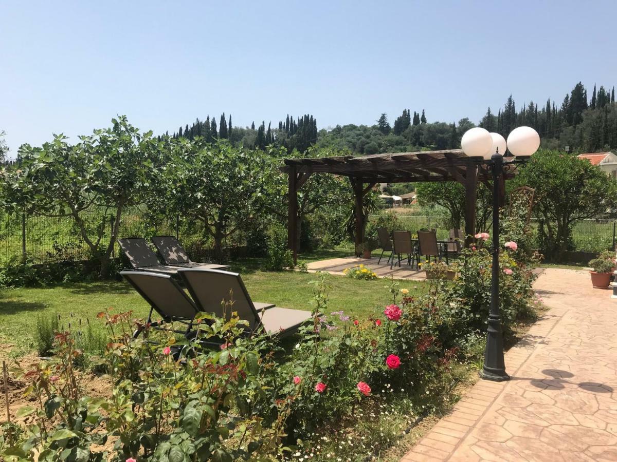 סידריון Megali Beach Nikos מראה חיצוני תמונה